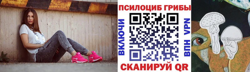 Галлюциногенные грибы Psilocybine cubensis  где купить   Туапсе 