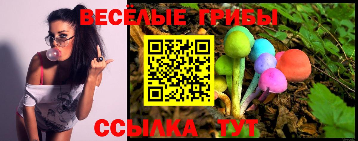 цены   Псилоцибиновые грибы Psilocybe  Вход с VPN  Туапсе 